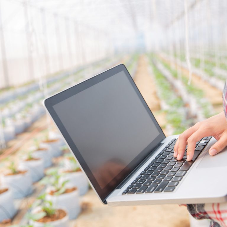 woman-science-assistant-agricultural-officer-greenhouse-farm-research-melon